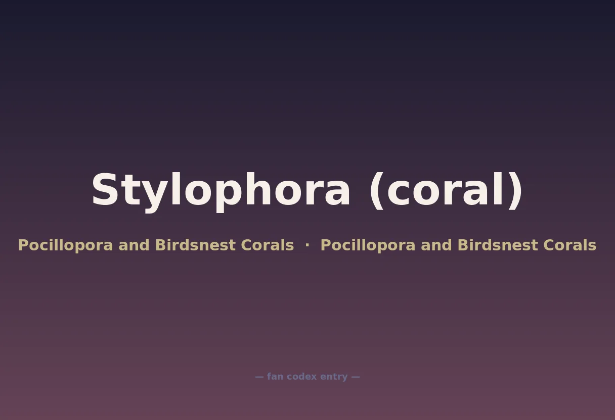 Stylophora (coral)