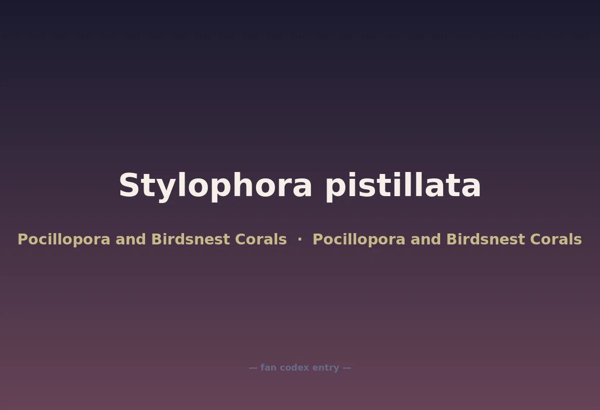 Stylophora pistillata