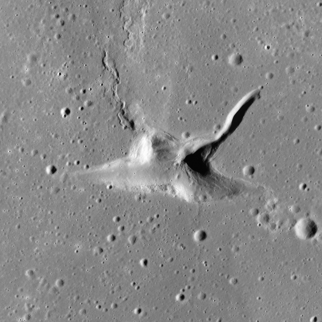 Aratus
