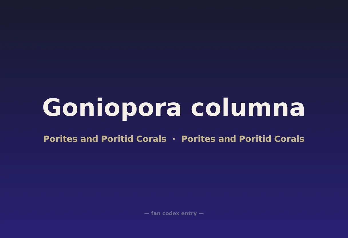 Goniopora columna
