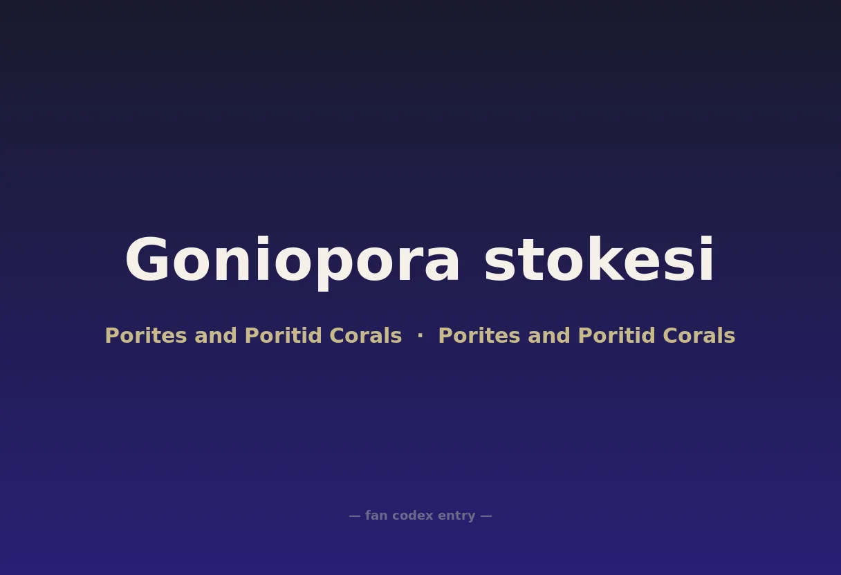 Goniopora stokesi