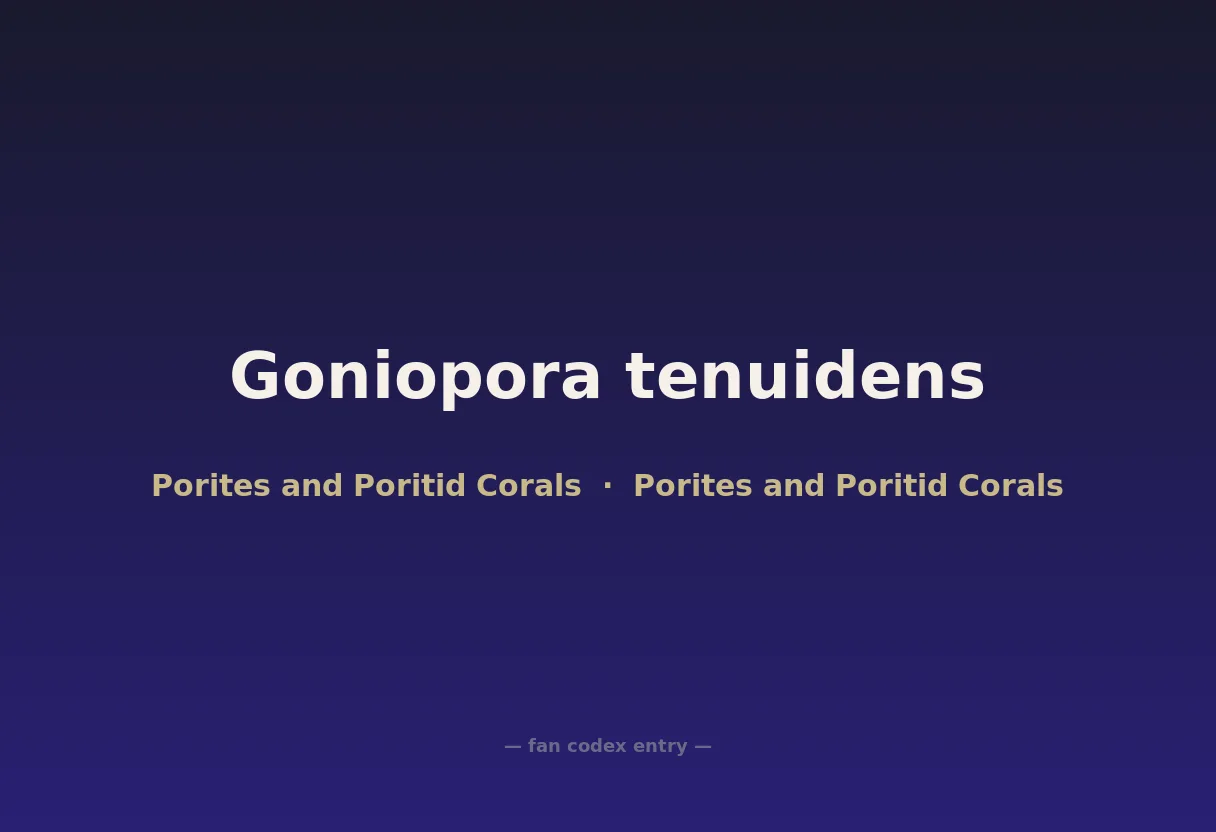 Goniopora tenuidens