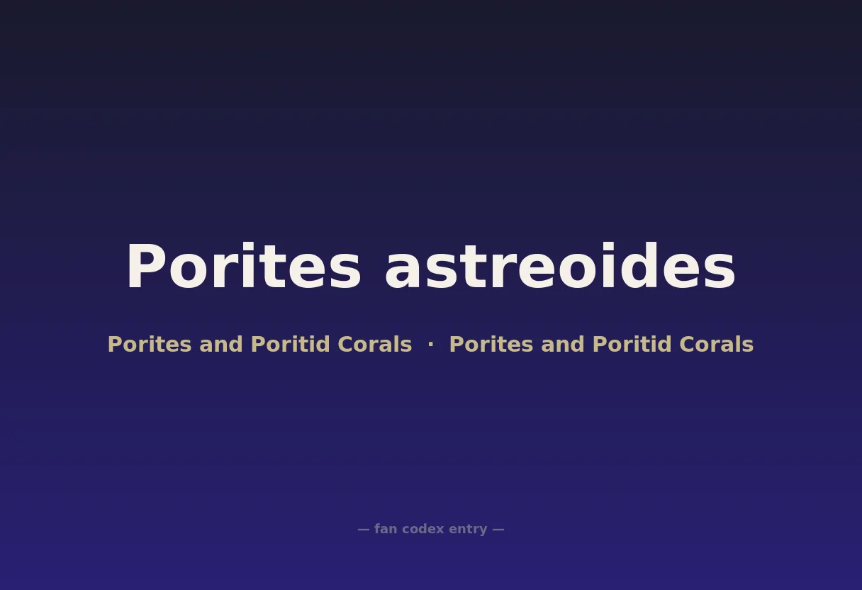 Porites astreoides