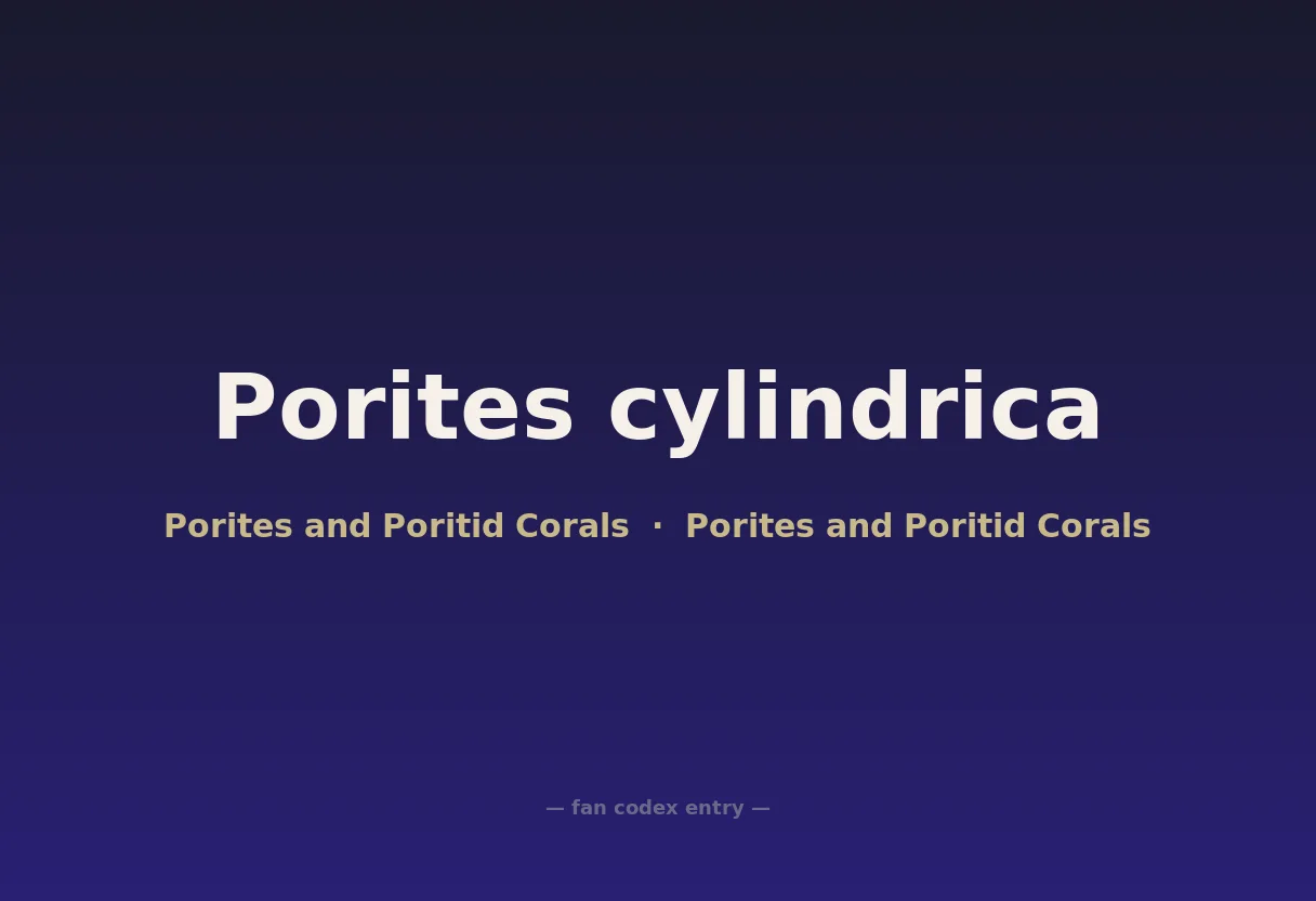 Porites cylindrica