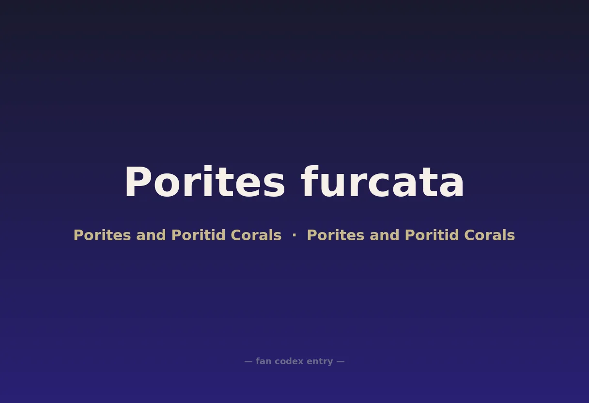 Porites furcata
