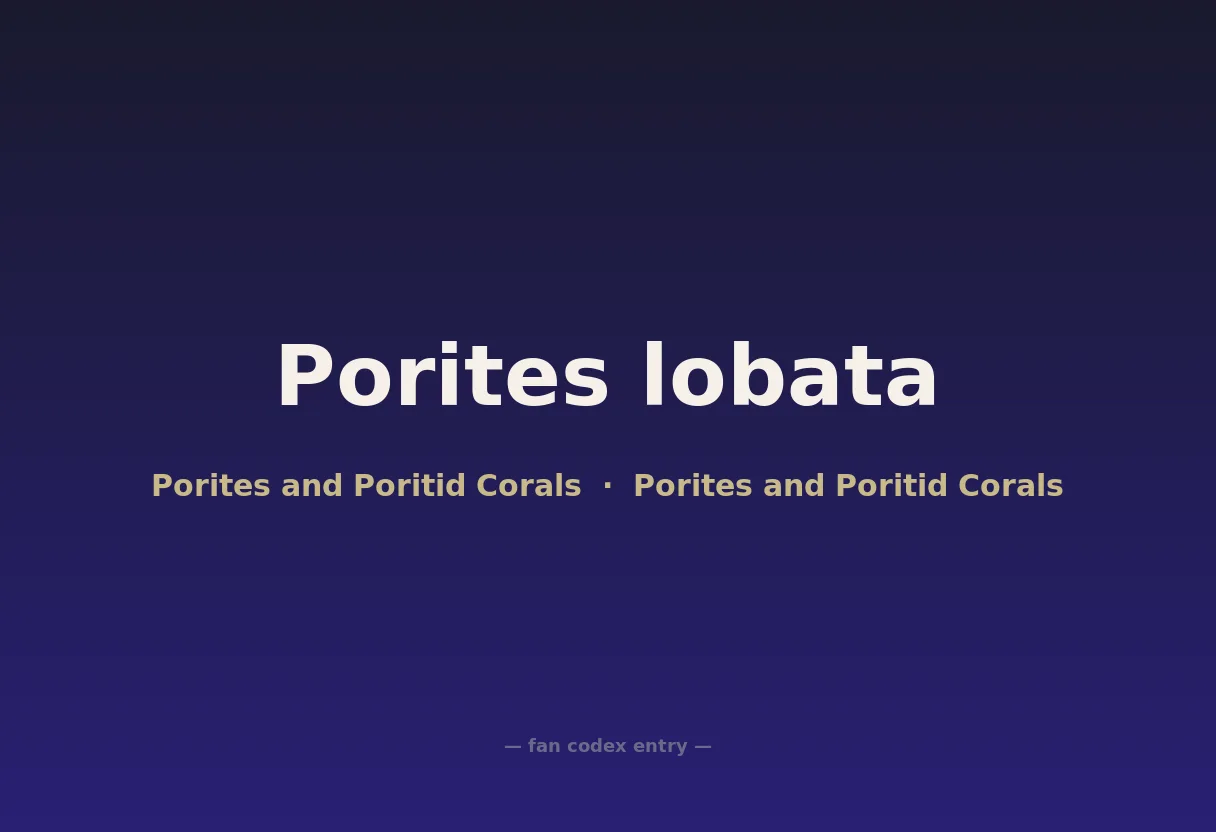 Porites lobata