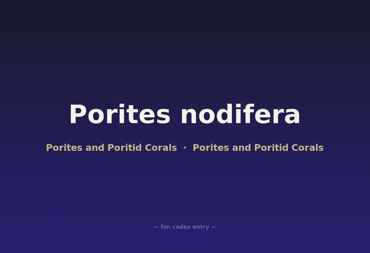Porites nodifera