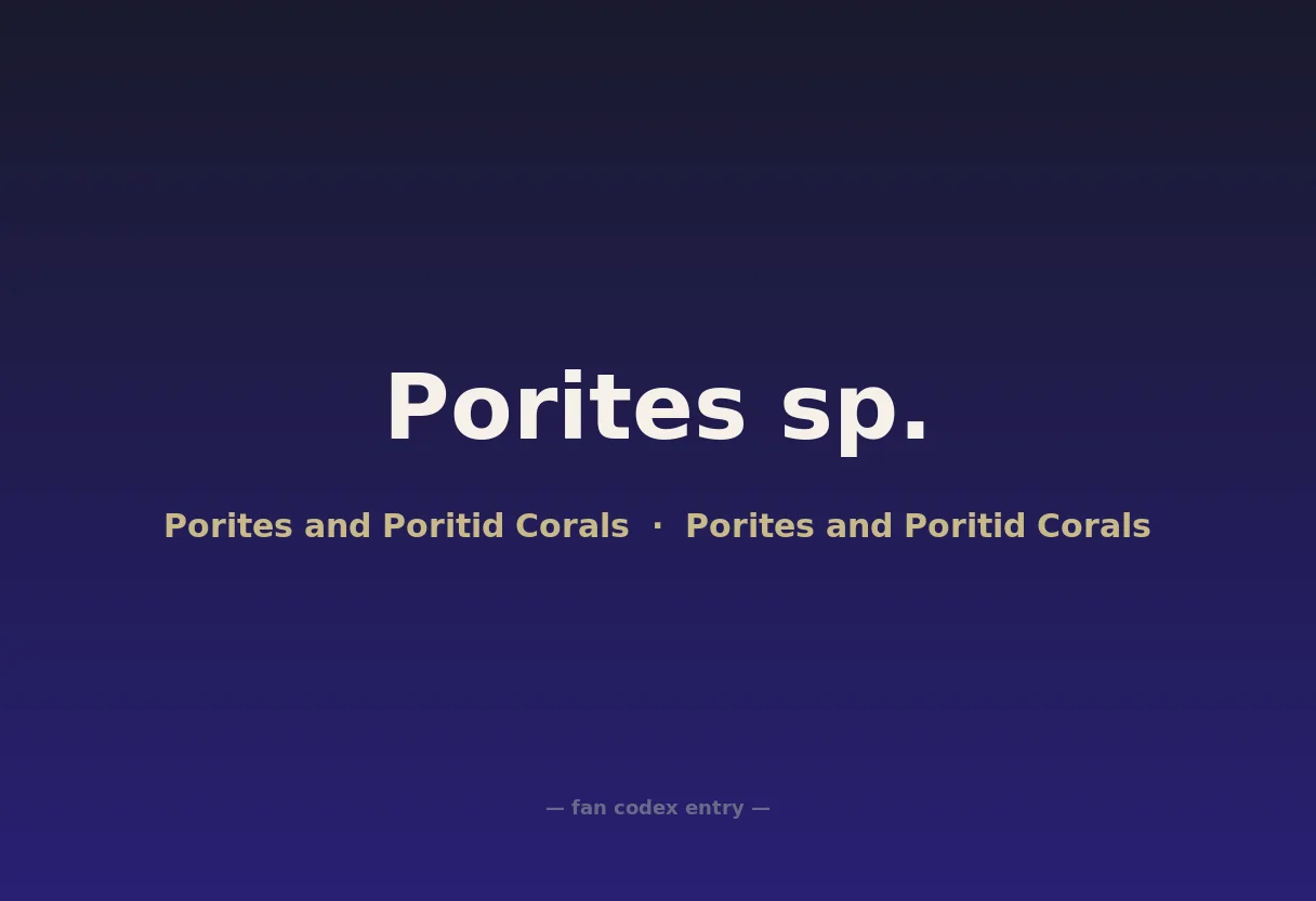 Porites sp.