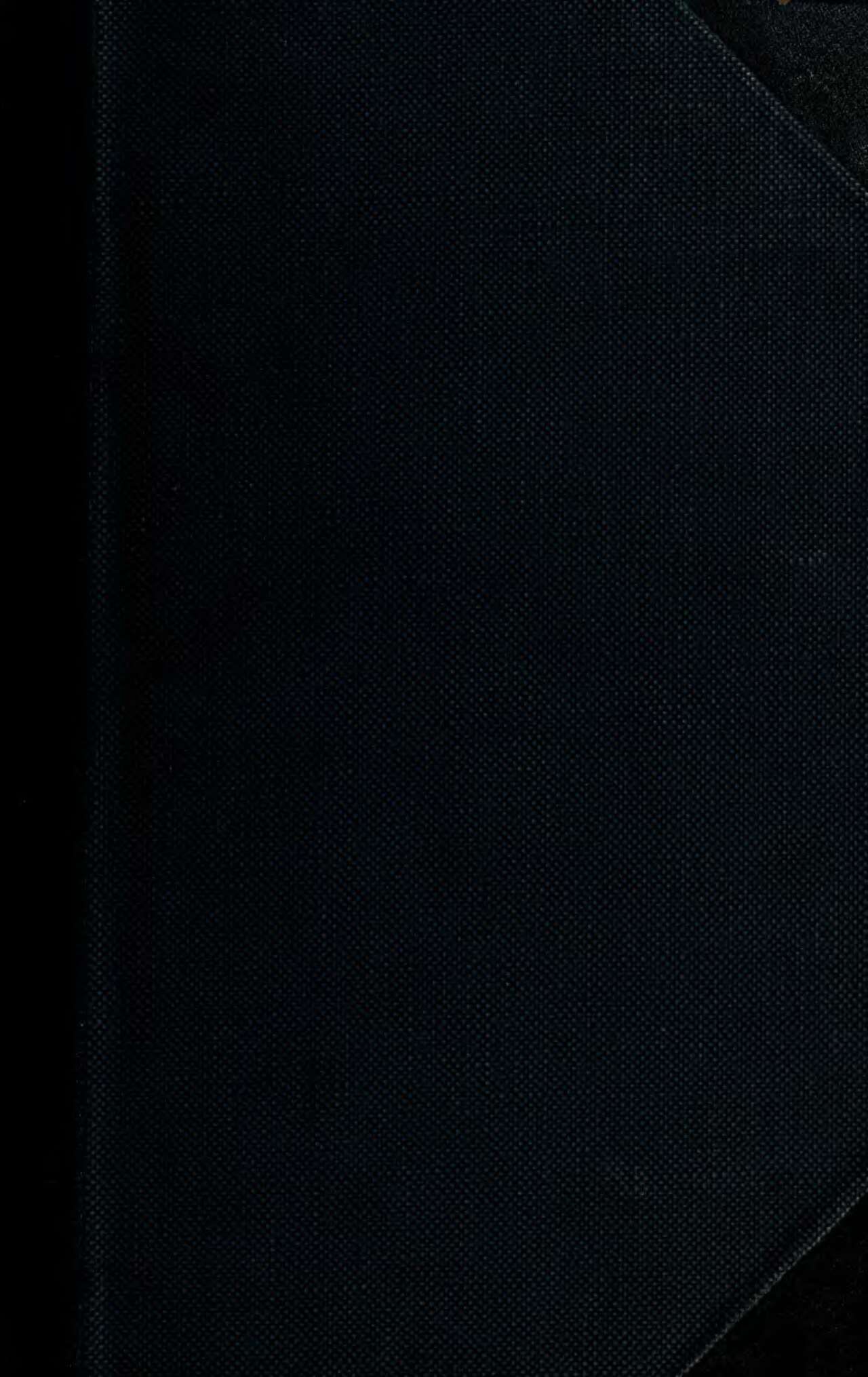Pacific Rim: The Black