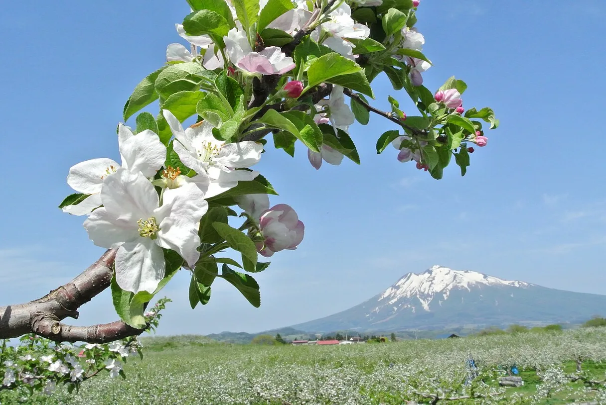 Aomori Prefecture