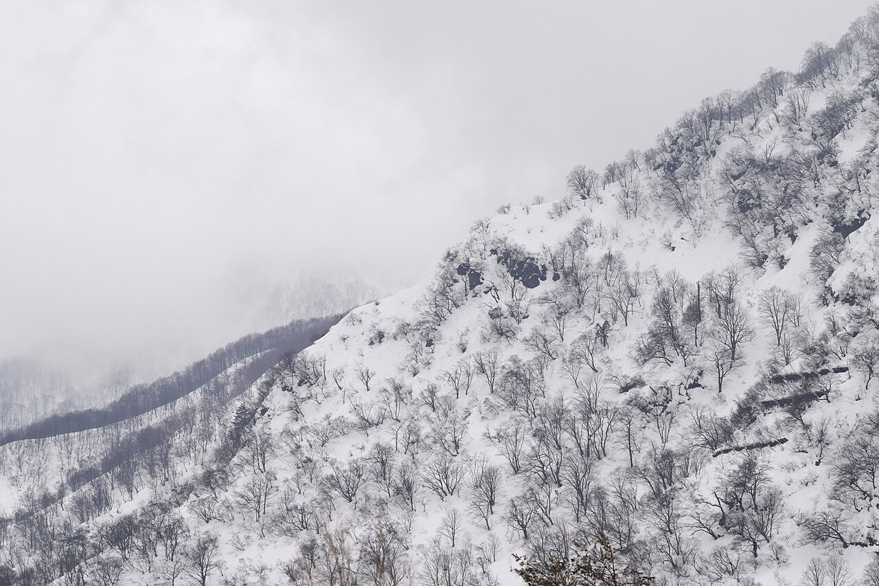 Niigata Prefecture
