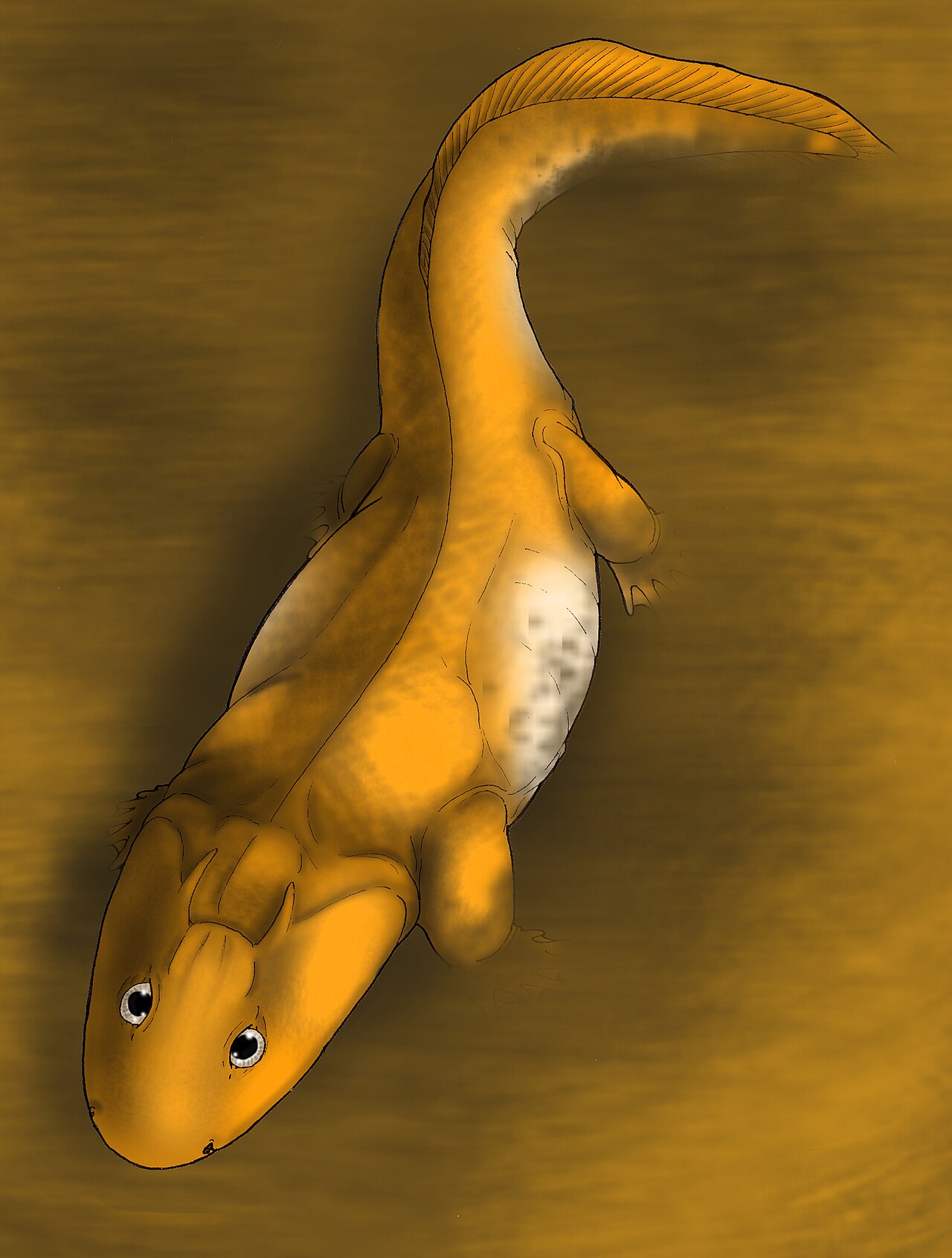 Acanthostega