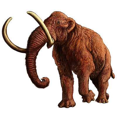 Woolly mammoth