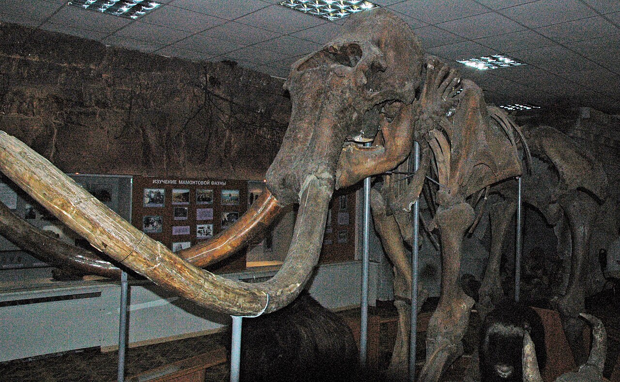 Woolly mammoth