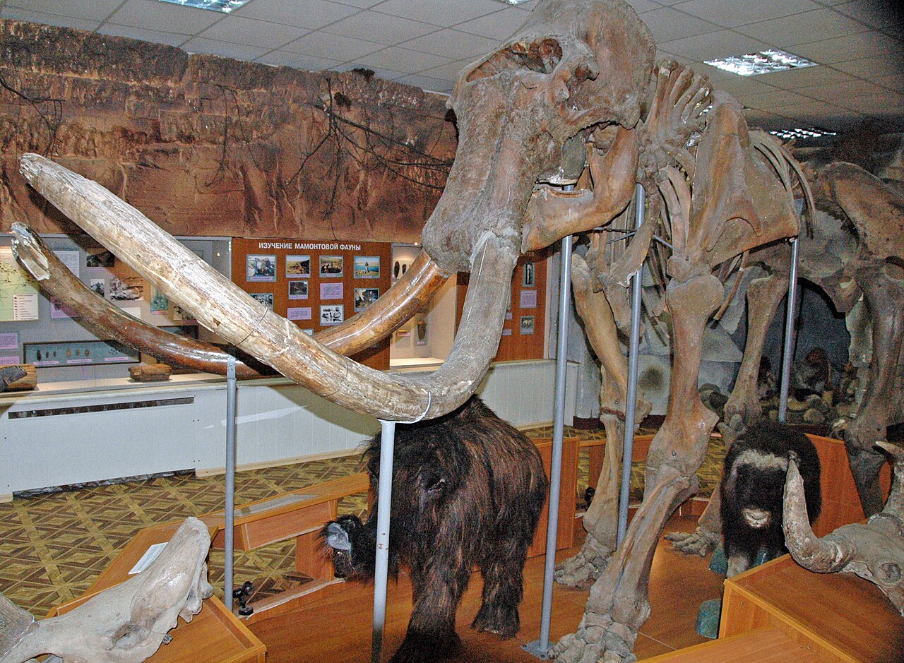 Woolly mammoth