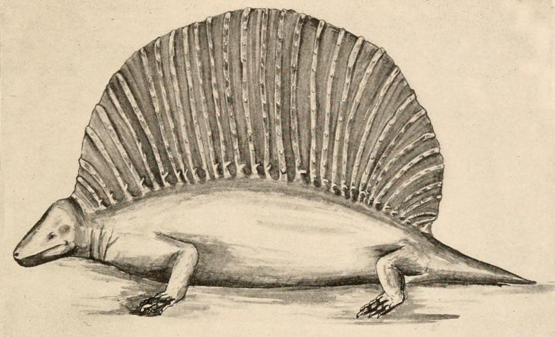 Edaphosaurus