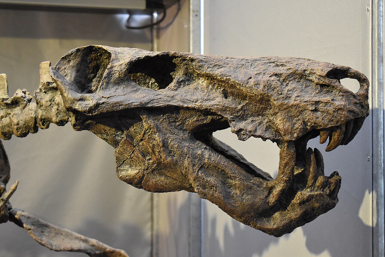 Inostrancevia