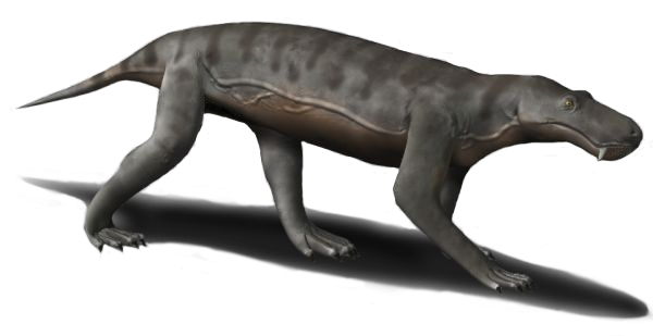 Gorgonops BW