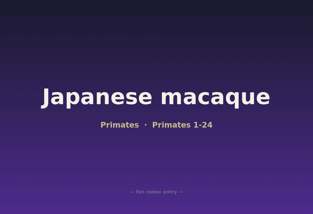 Japanese macaque