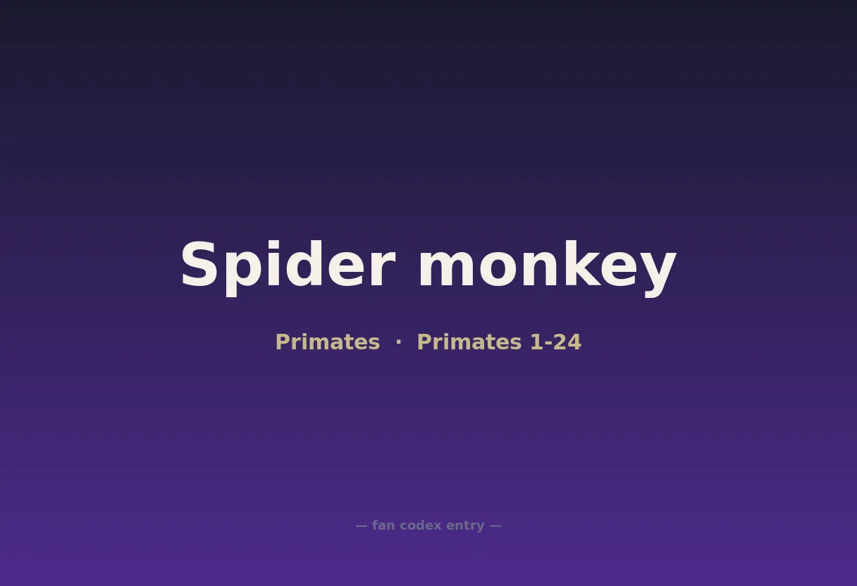 Spider monkey