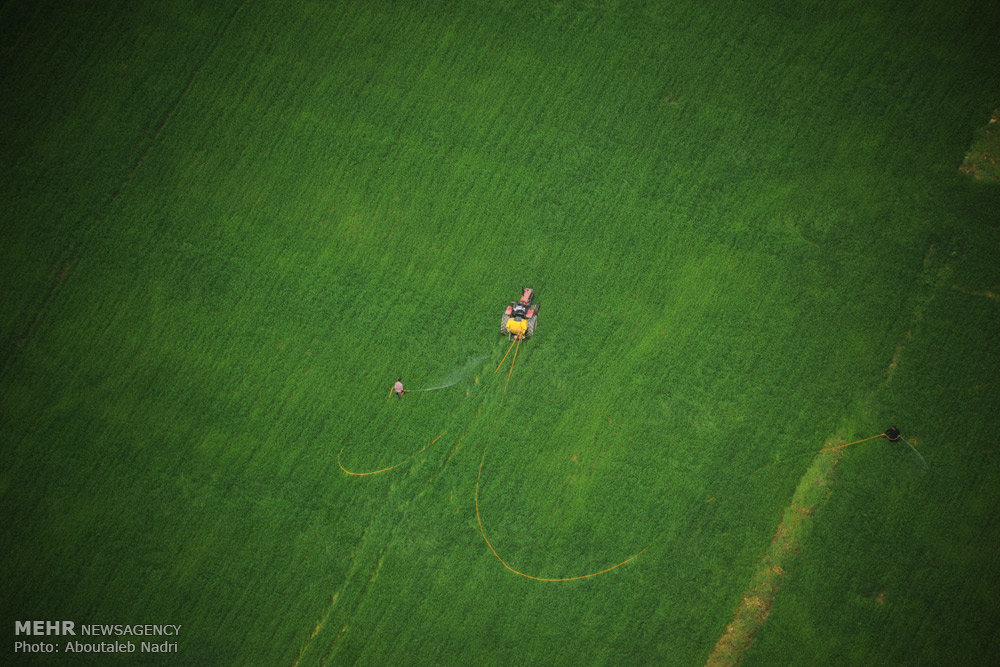 Golestan province
