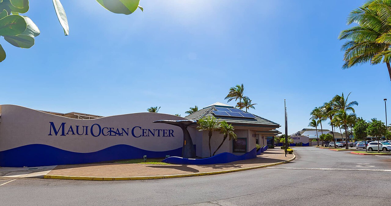 Coral World International – Maui Ocean Center
