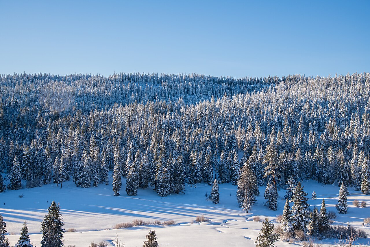 Cascade-Siskiyou National Monument on New Year's Day