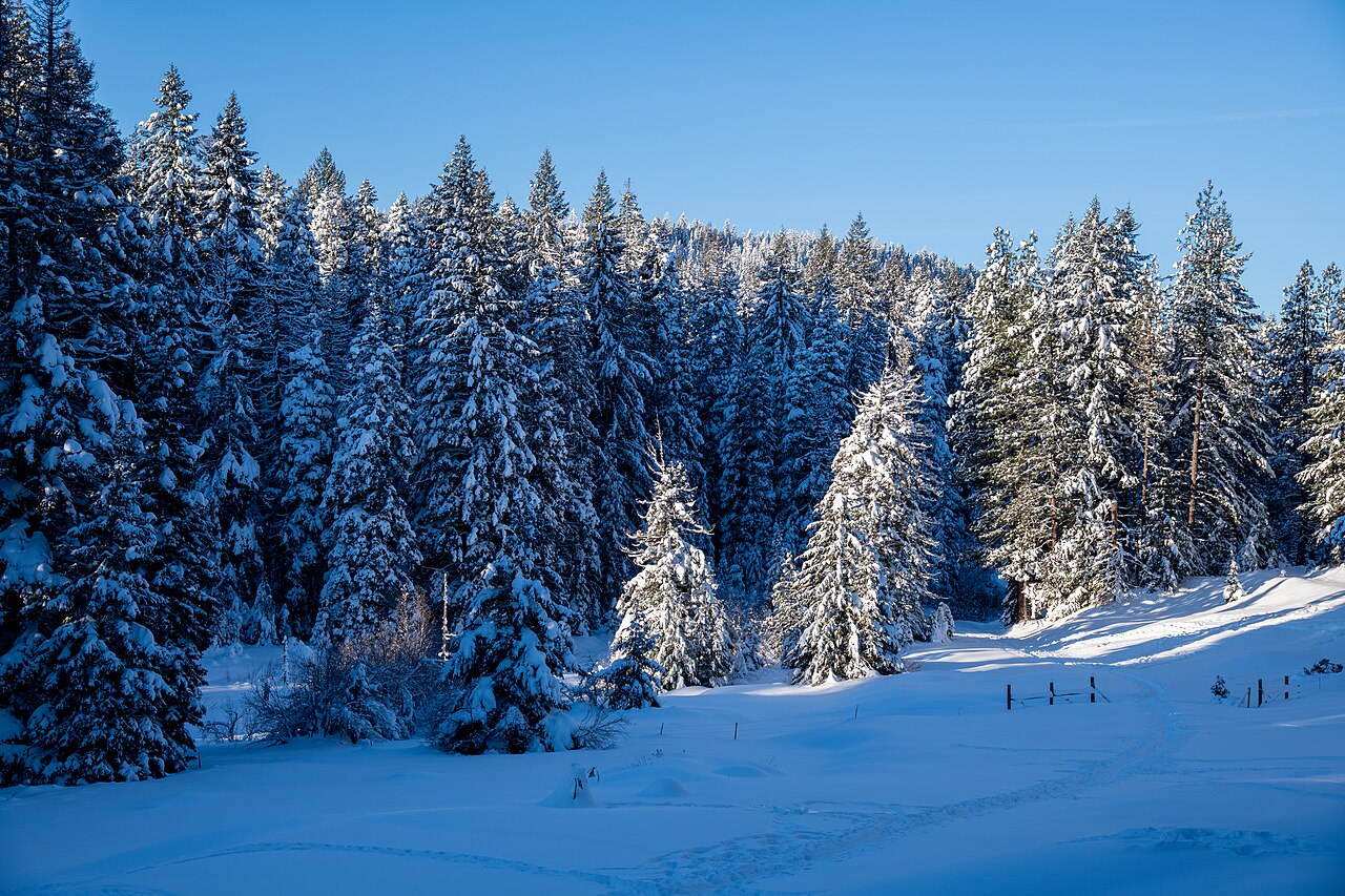 Cascade-Siskiyou National Monument on New Year's Day