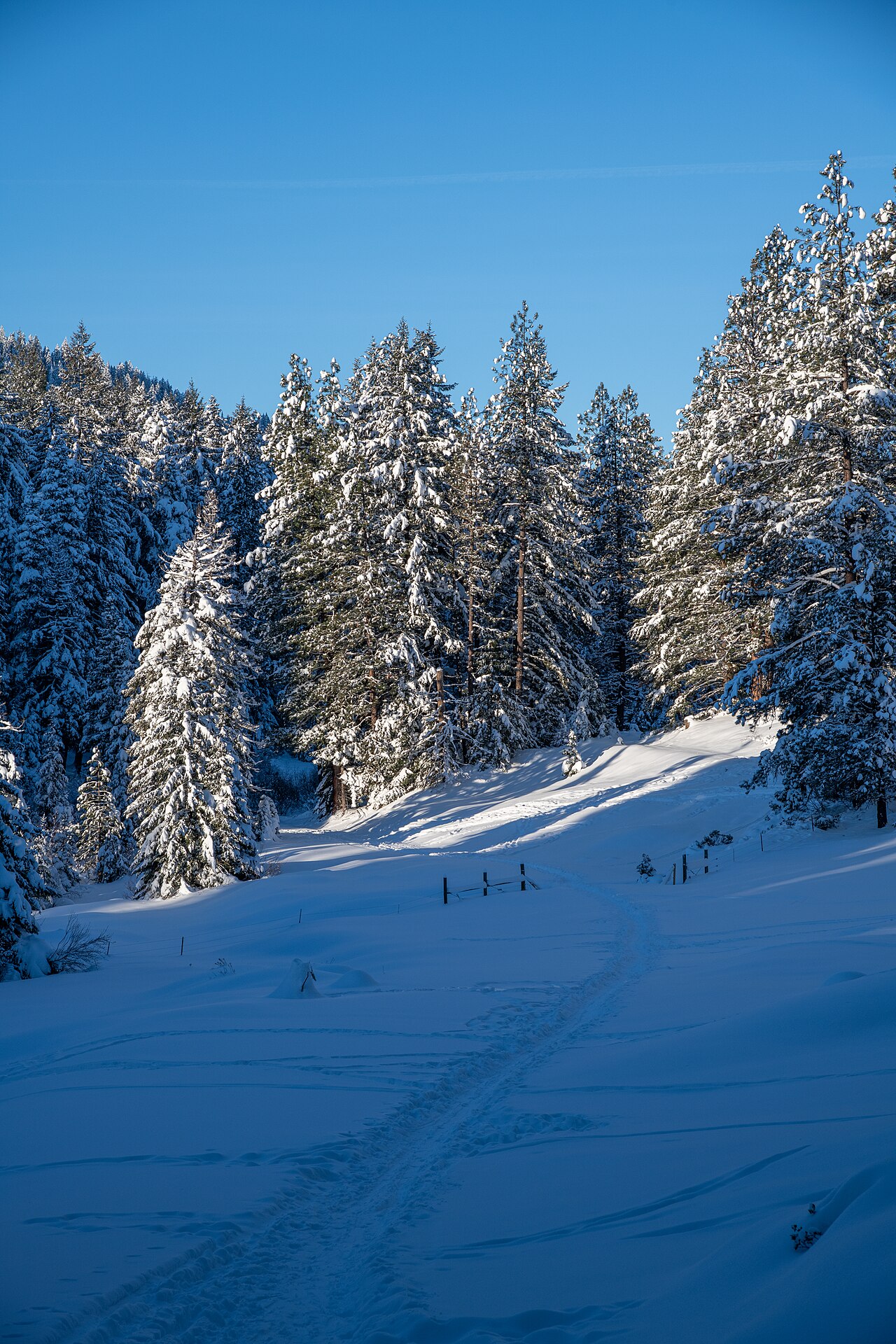 Cascade-Siskiyou National Monument on New Year's Day