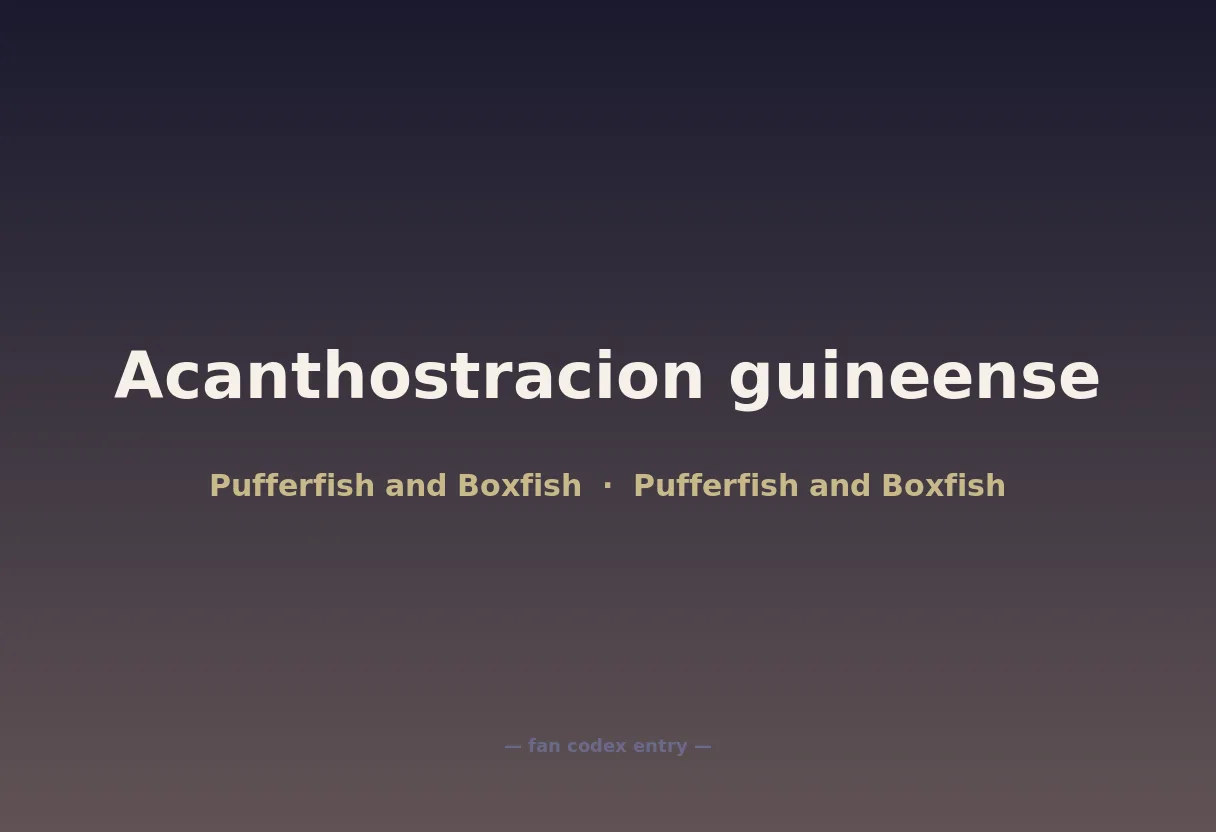 Acanthostracion guineense