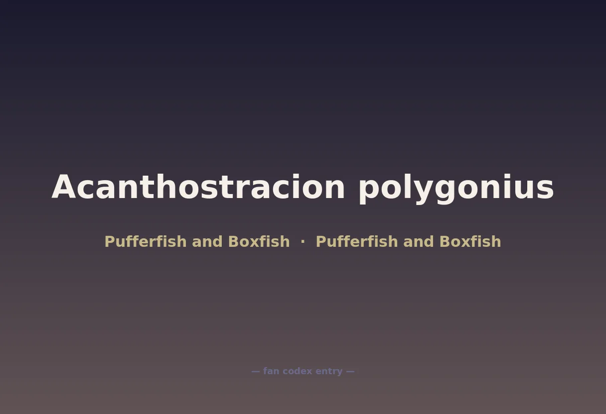 Acanthostracion polygonius