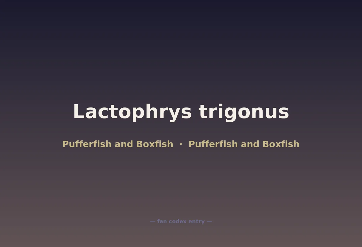 Lactophrys trigonus