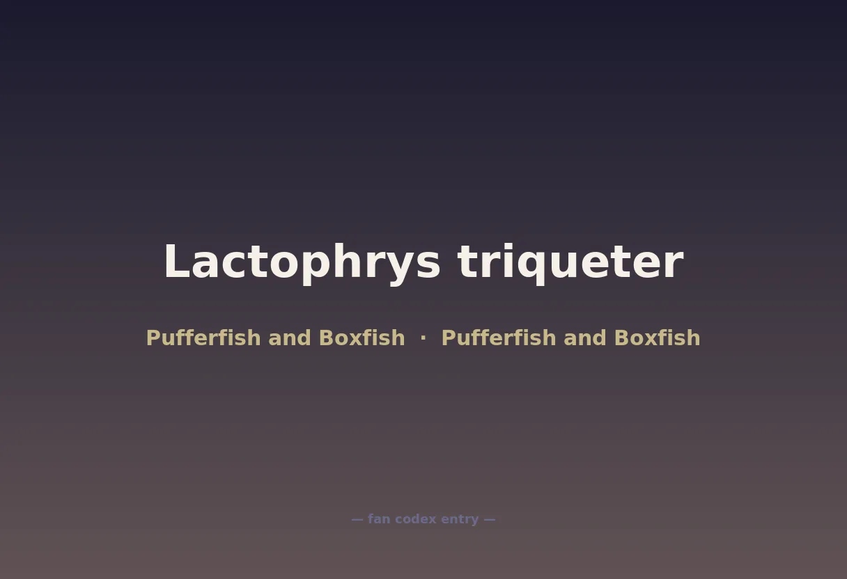 Lactophrys triqueter
