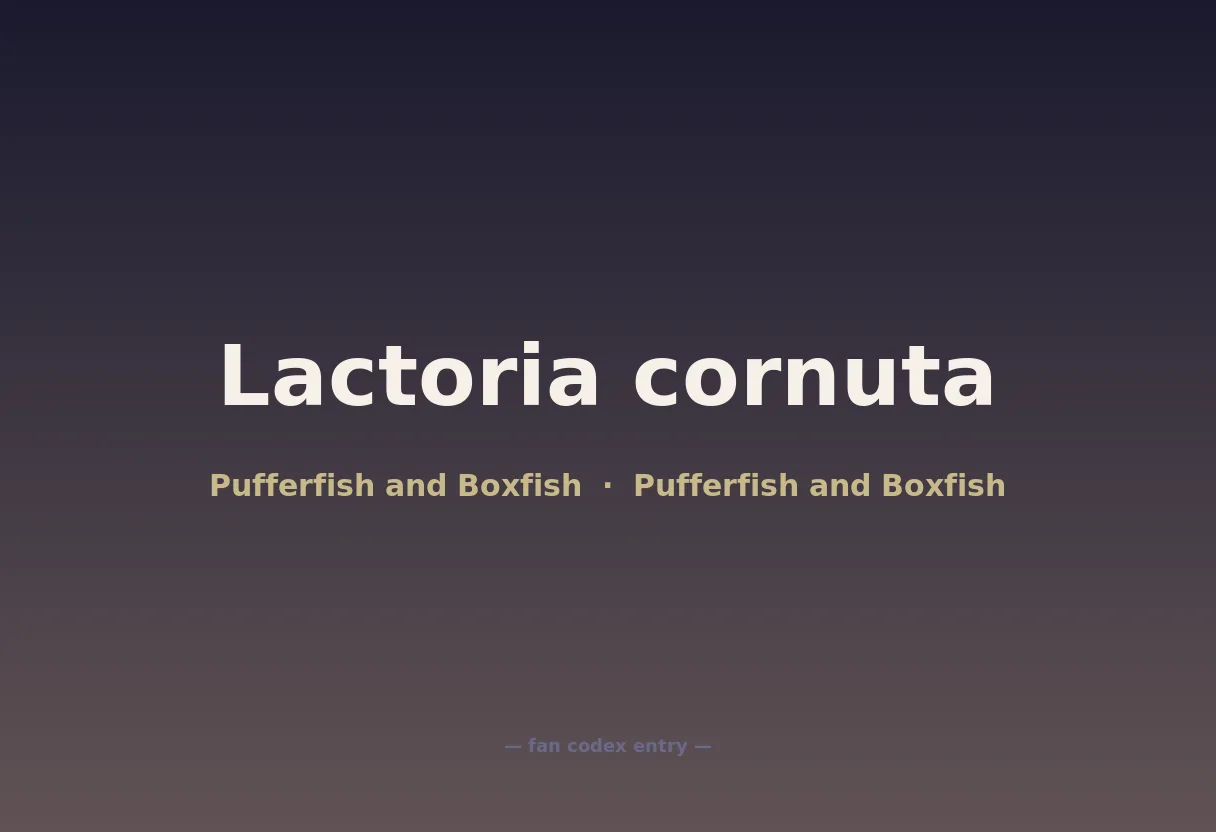 Lactoria cornuta