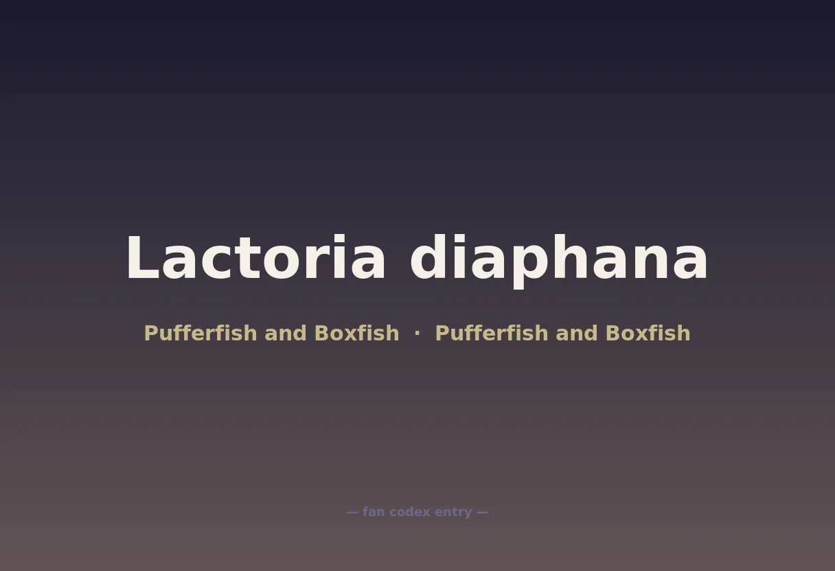Lactoria diaphana