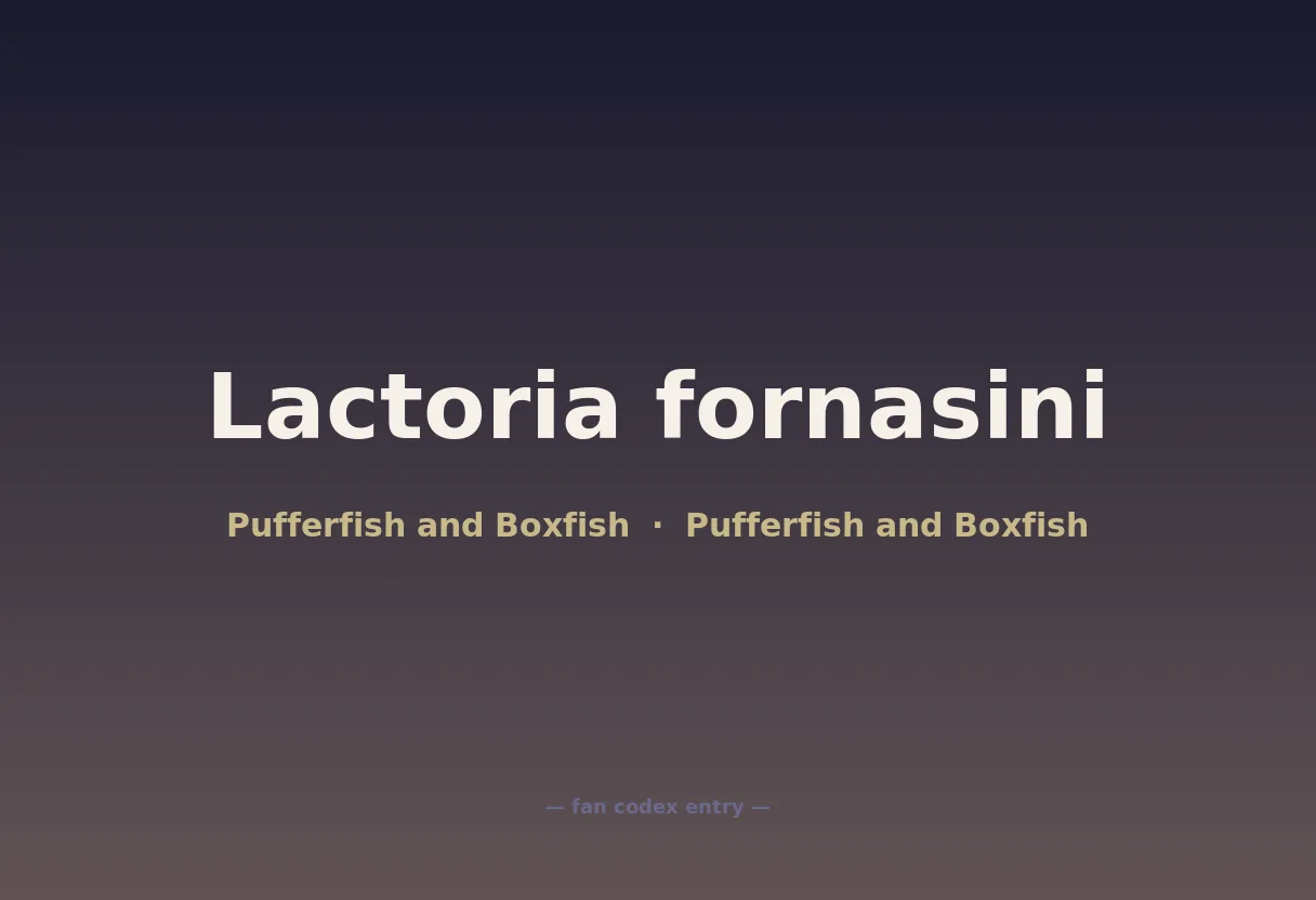 Lactoria fornasini