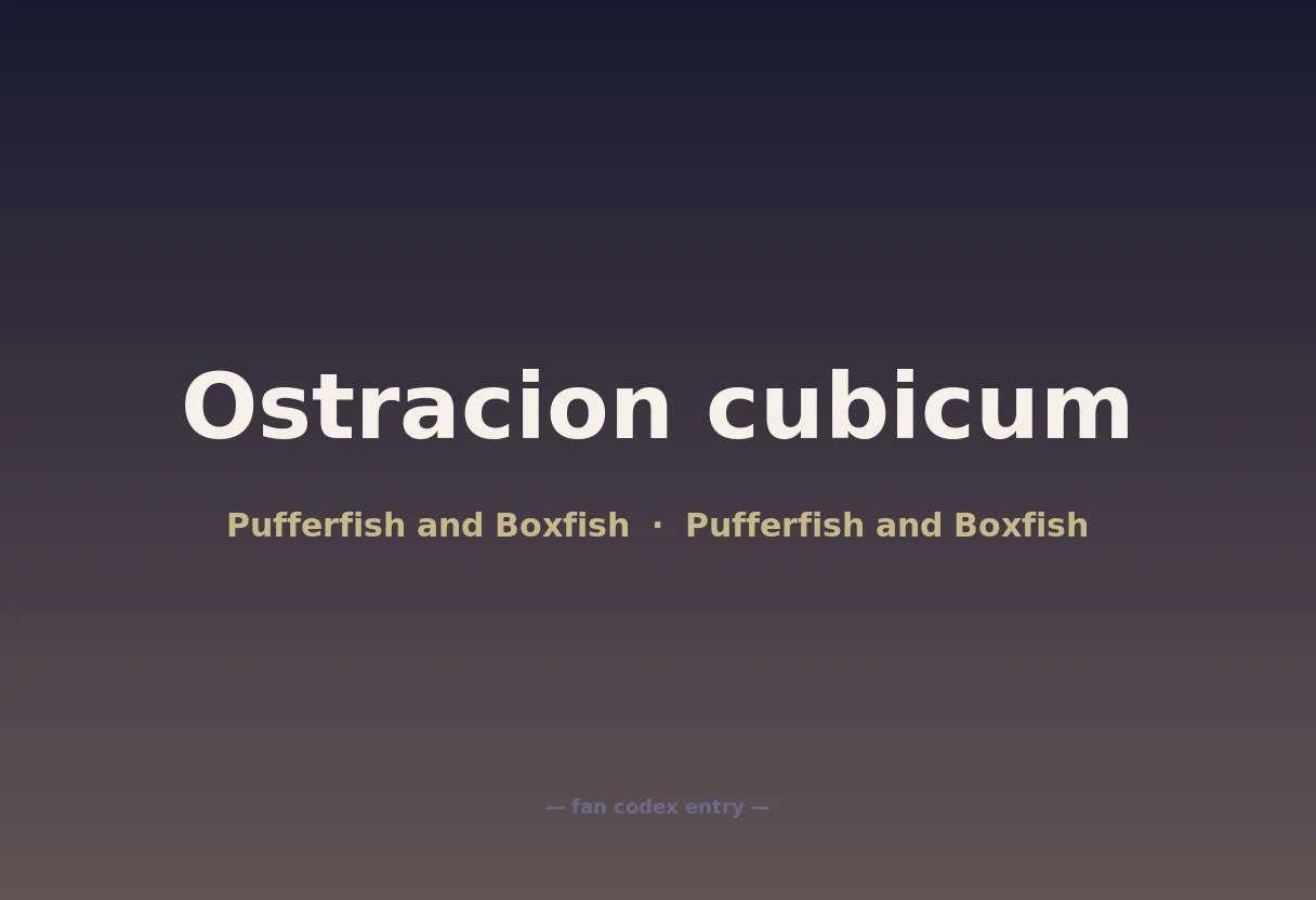 Ostracion cubicum