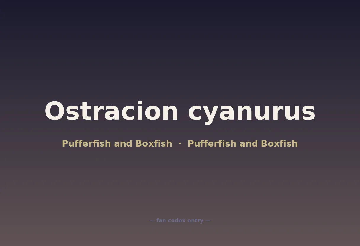 Ostracion cyanurus