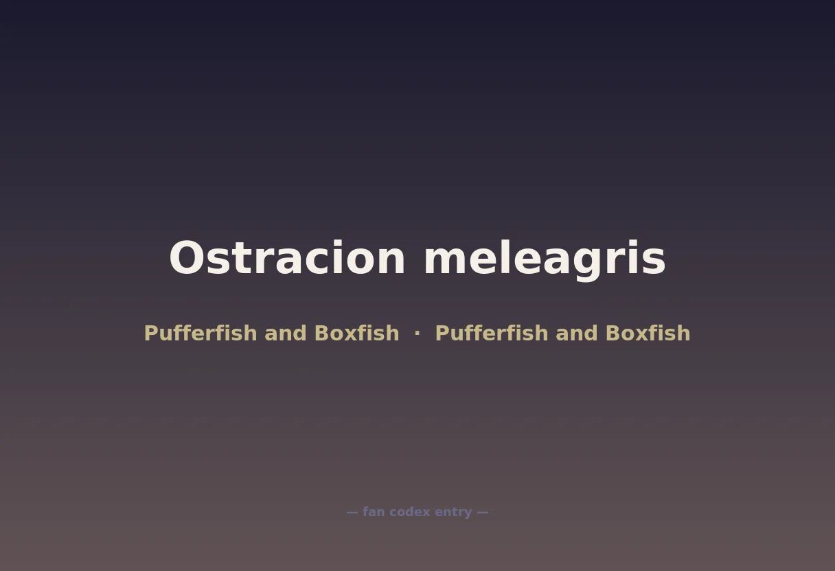 Ostracion meleagris