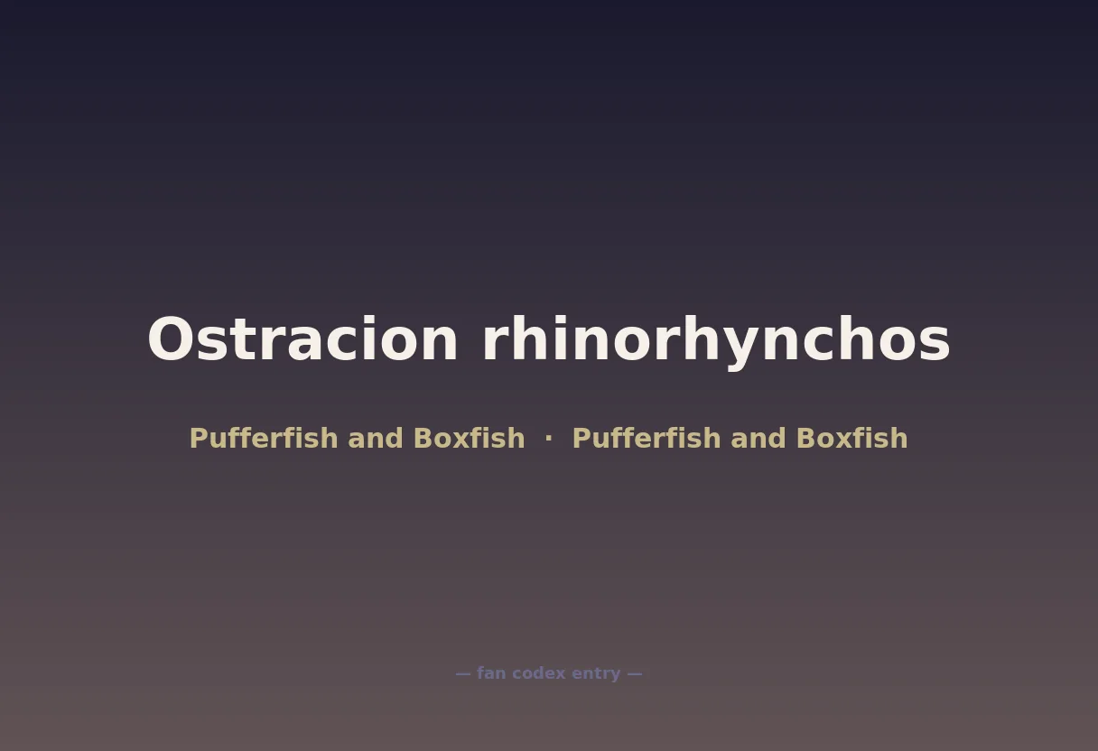Ostracion rhinorhynchos