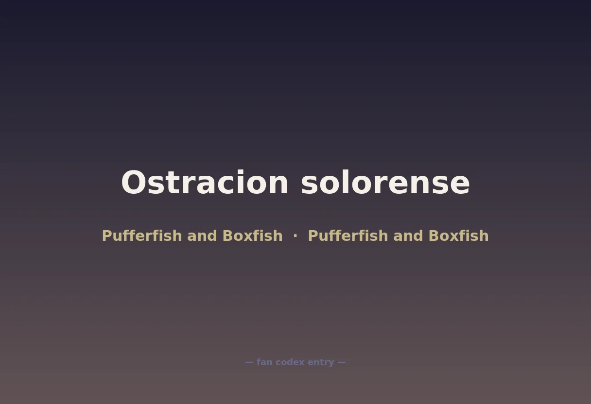 Ostracion solorense