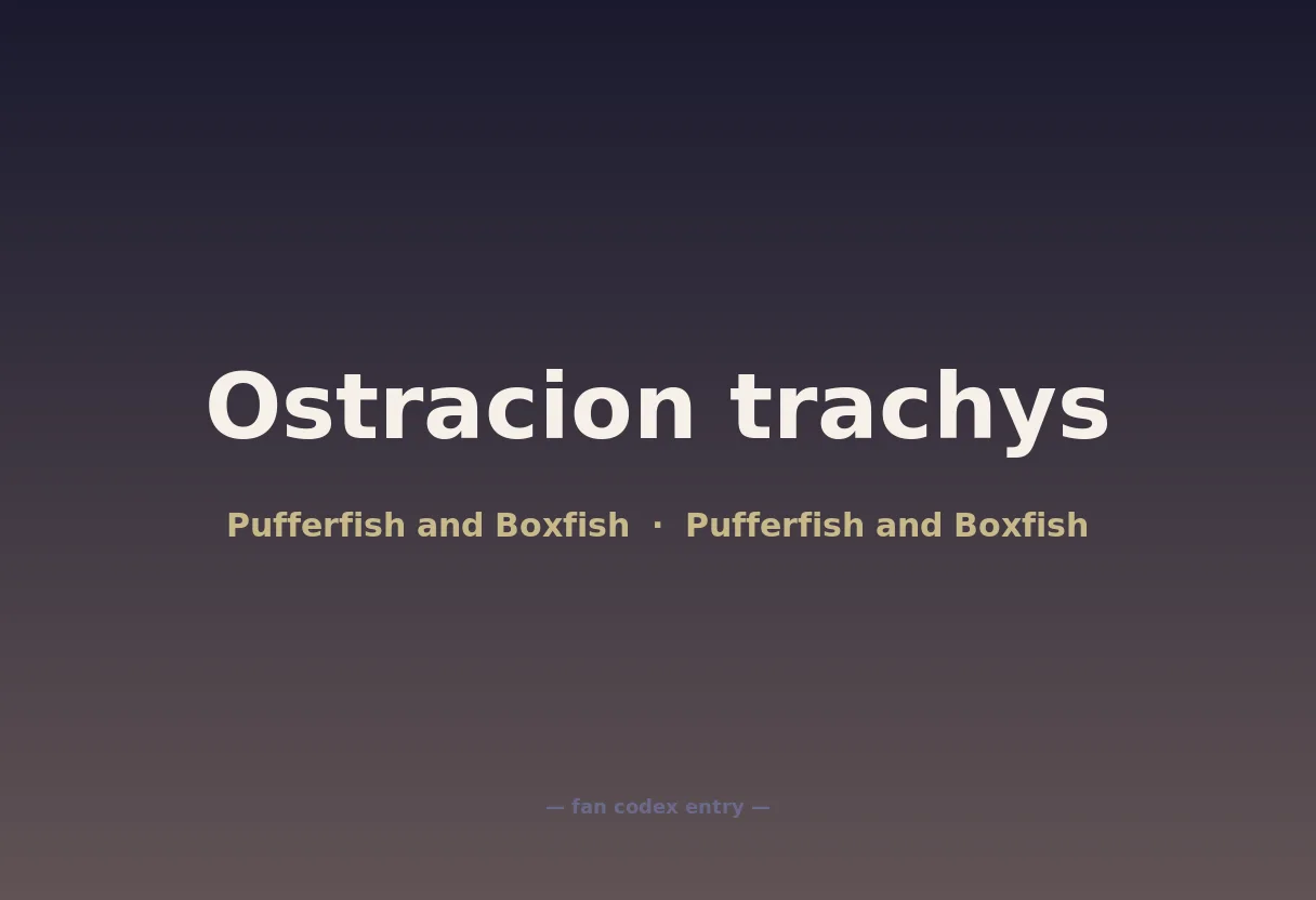 Ostracion trachys