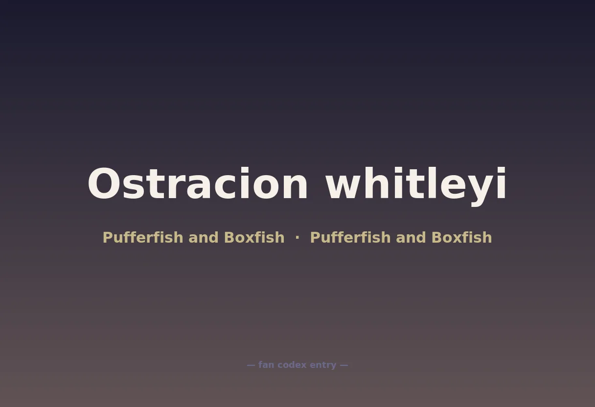 Ostracion whitleyi