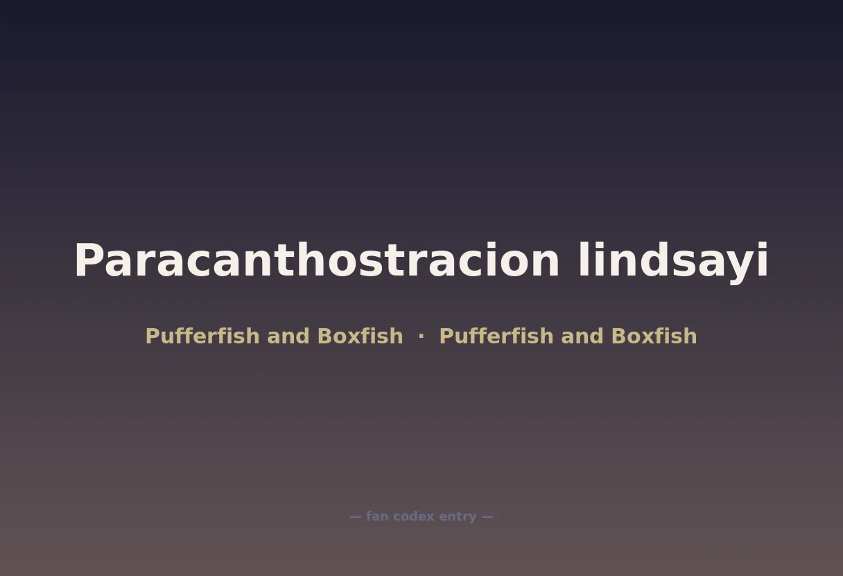 Paracanthostracion lindsayi