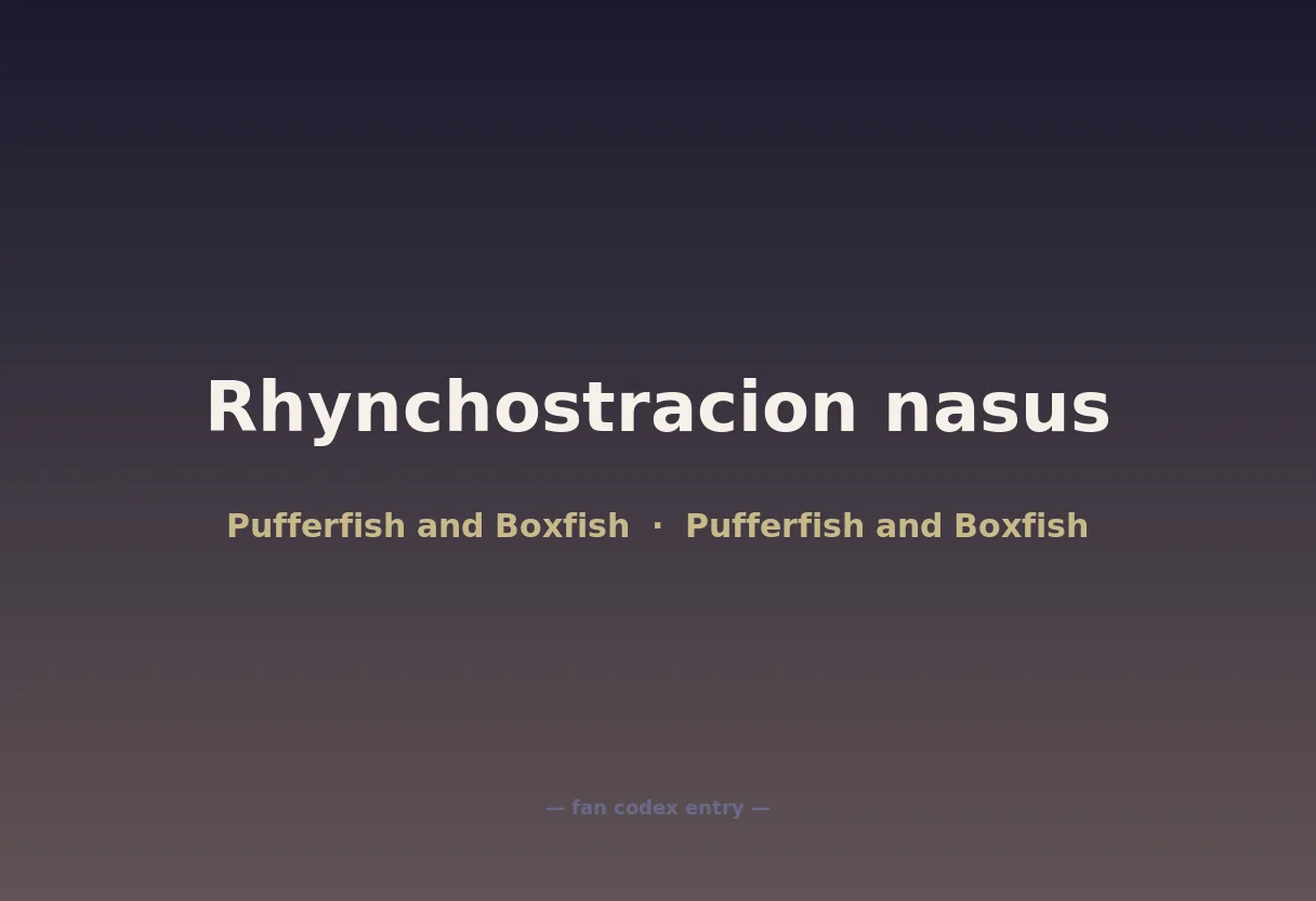 Rhynchostracion nasus