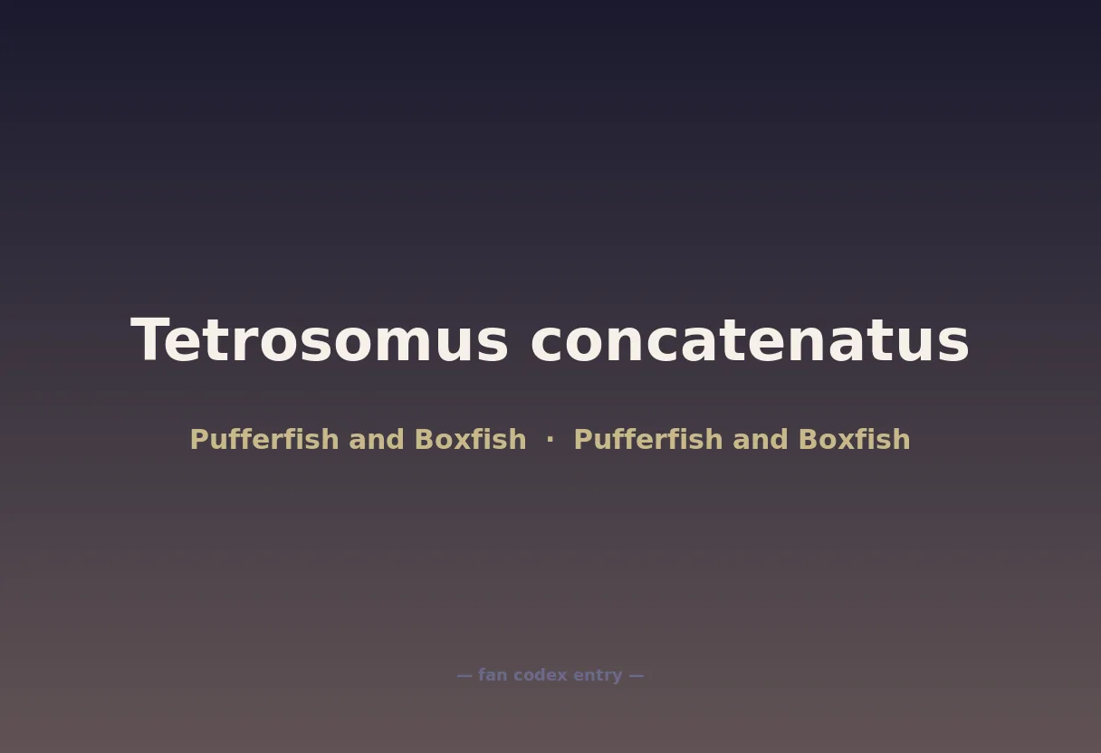 Tetrosomus concatenatus