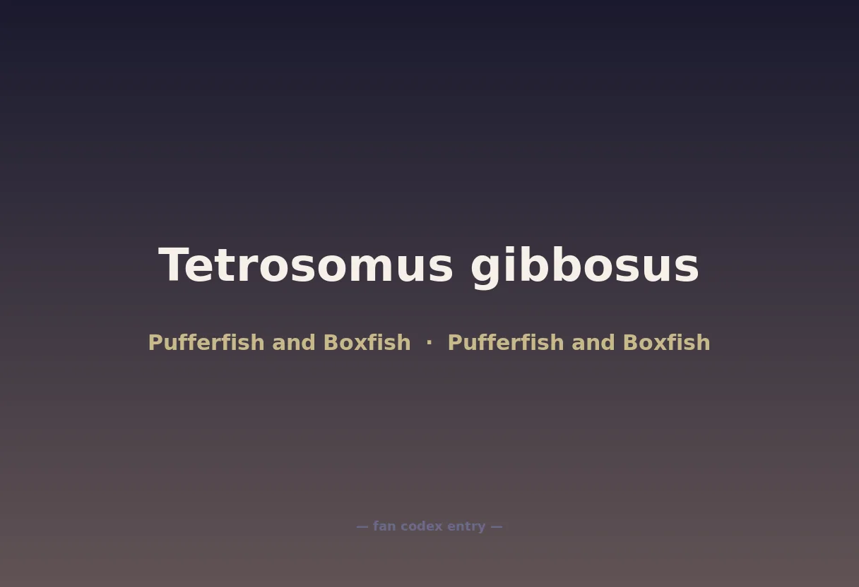 Tetrosomus gibbosus