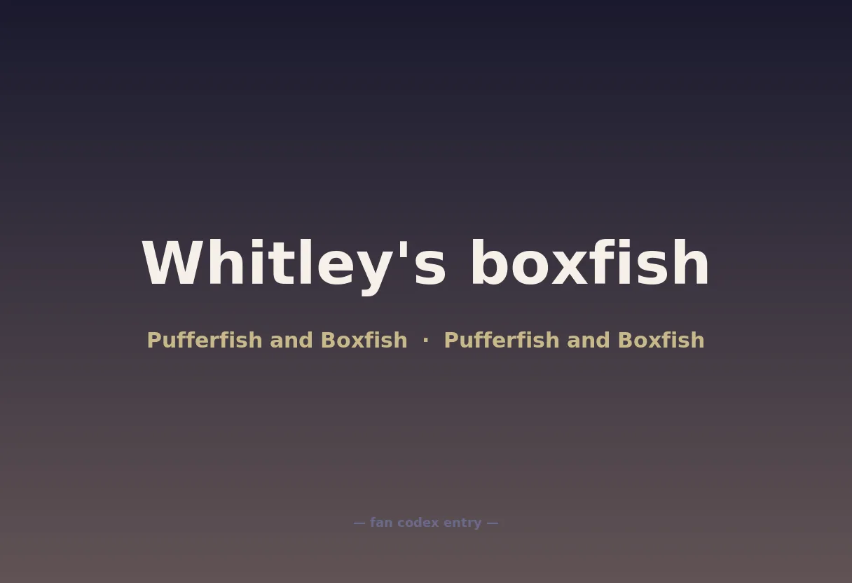 Whitley's boxfish