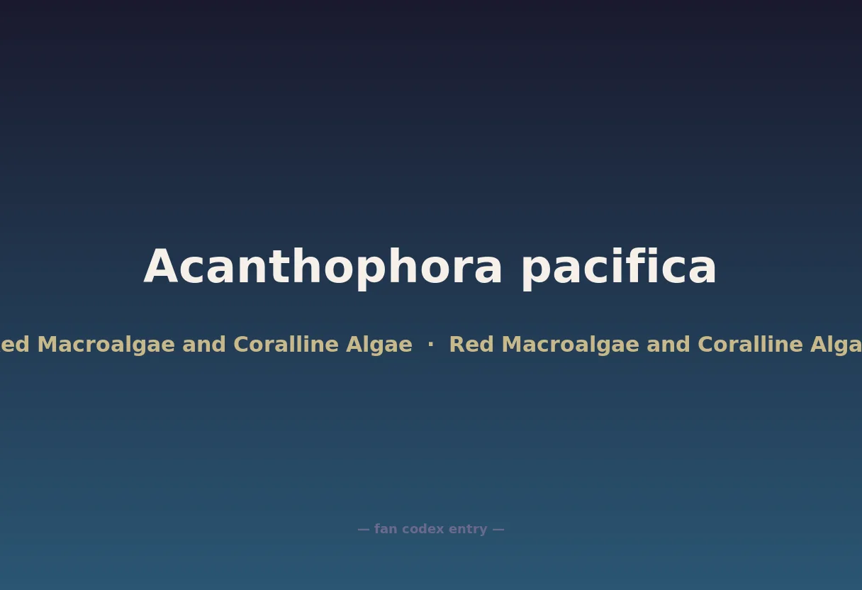 Acanthophora pacifica