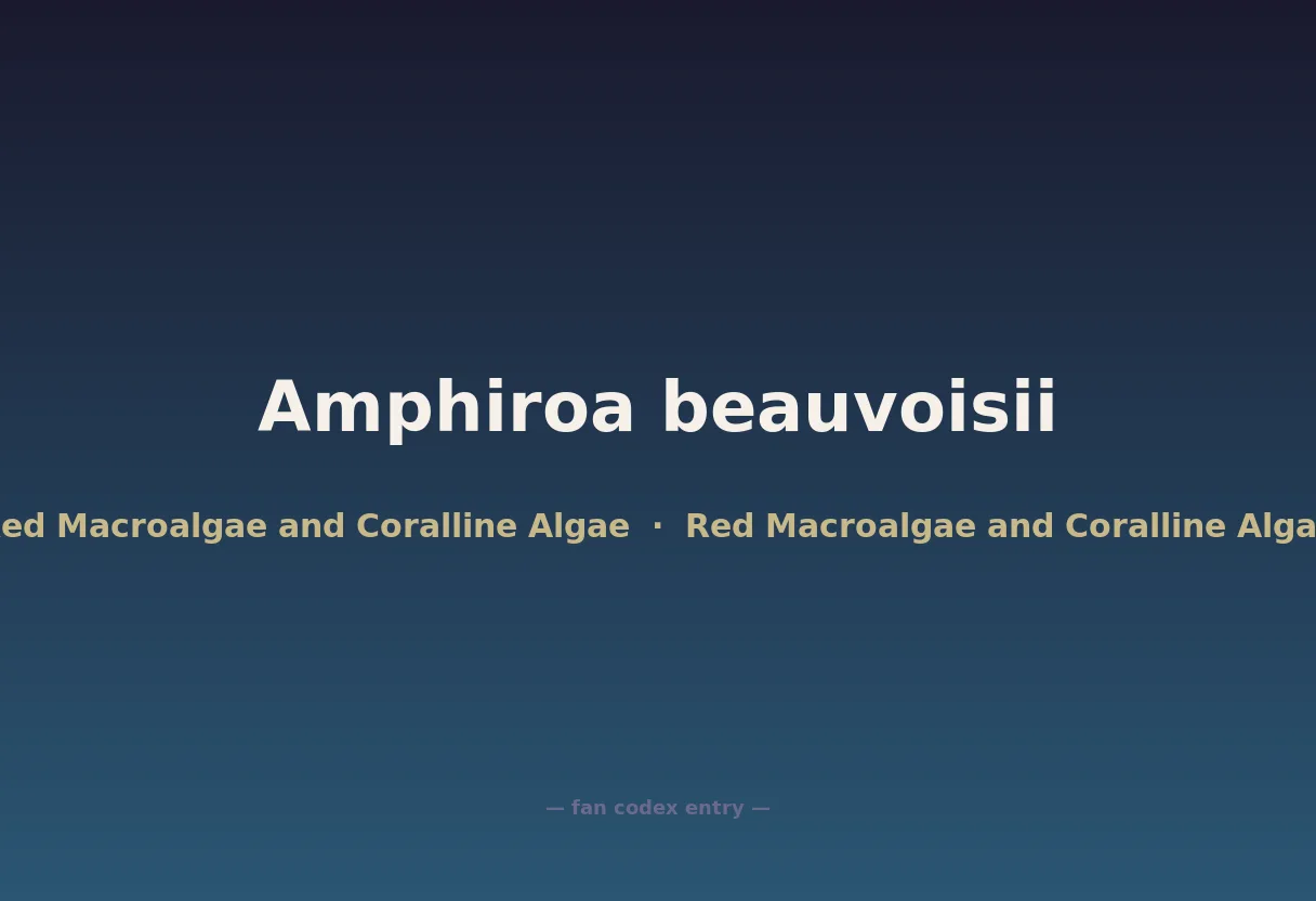 Amphiroa beauvoisii